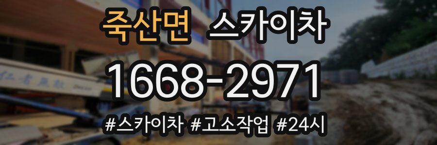 죽산면 스카이차