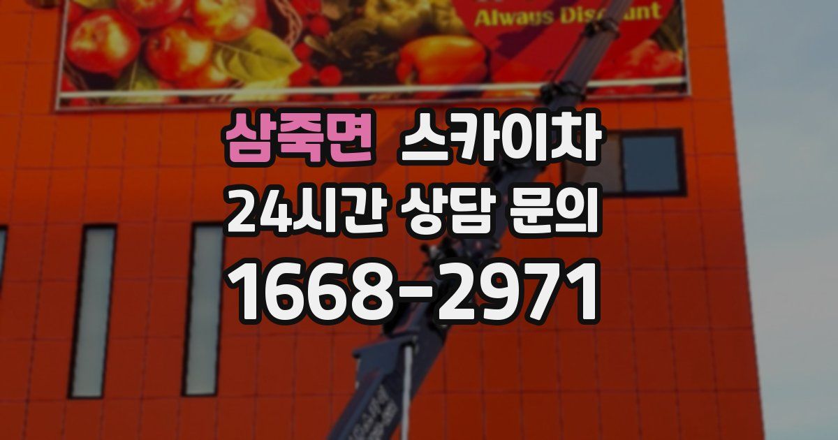 삼죽면 스카이차