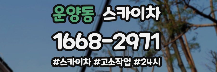 운양동 스카이차