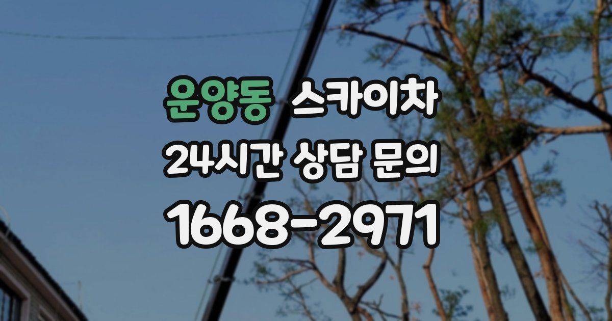 운양동 스카이차