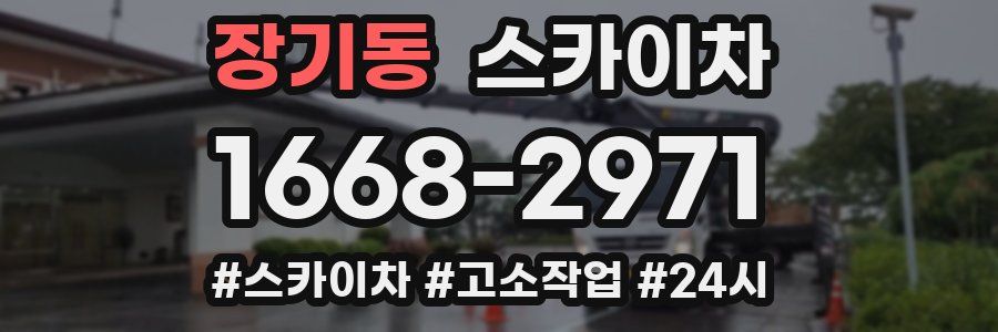 장기동 스카이차