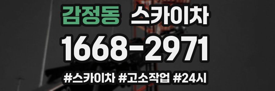 감정동 스카이차