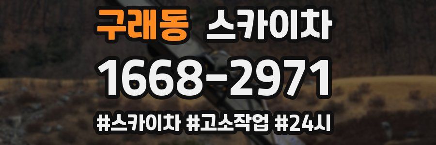구래동 스카이차