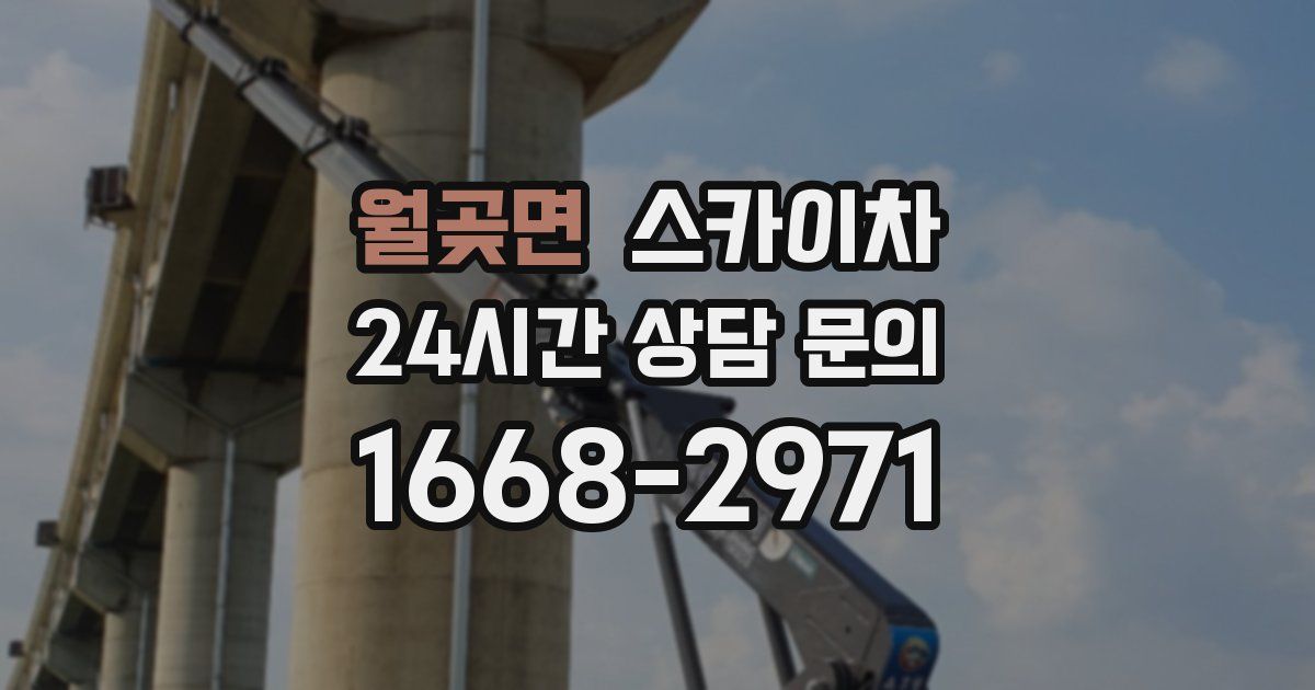 월곶면 스카이차