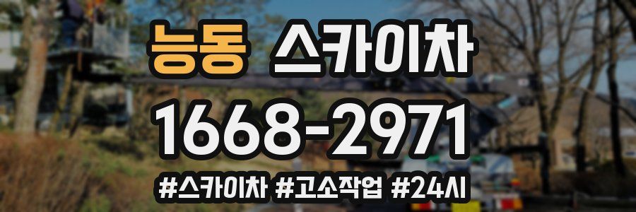 능동 스카이차