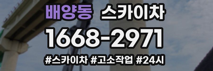배양동 스카이차
