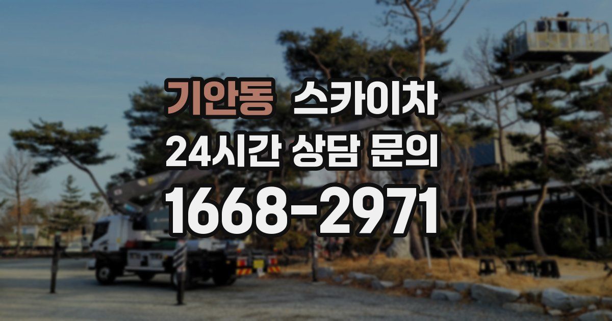 기안동 스카이차