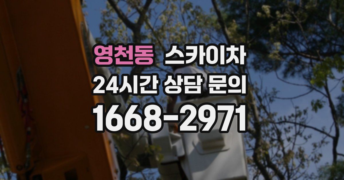 영천동 스카이차