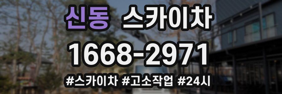 신동 스카이차