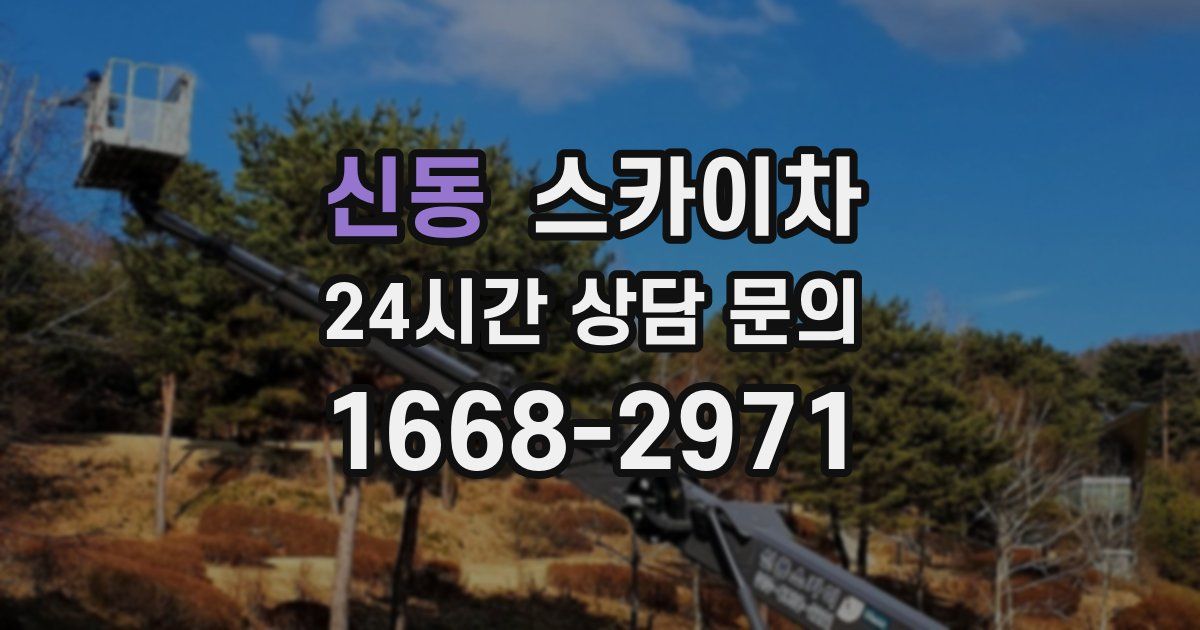신동 스카이차