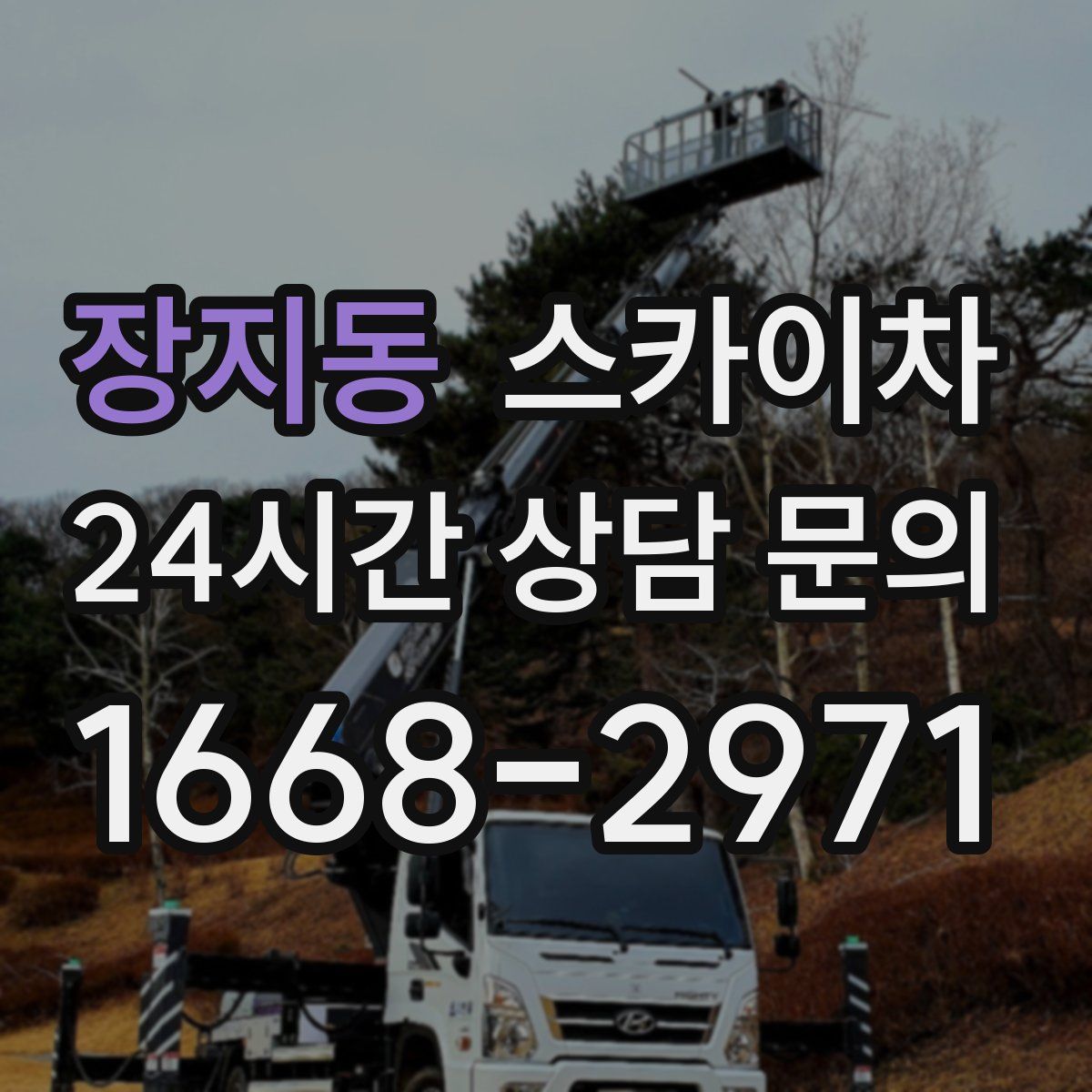 장지동 스카이차