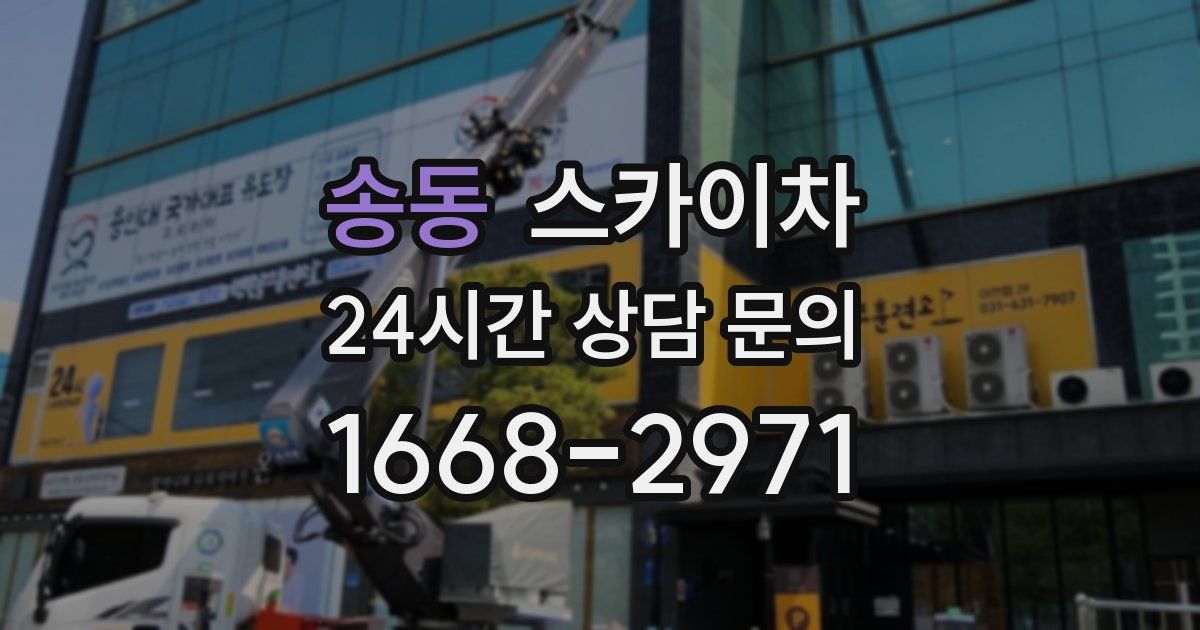 송동 스카이차