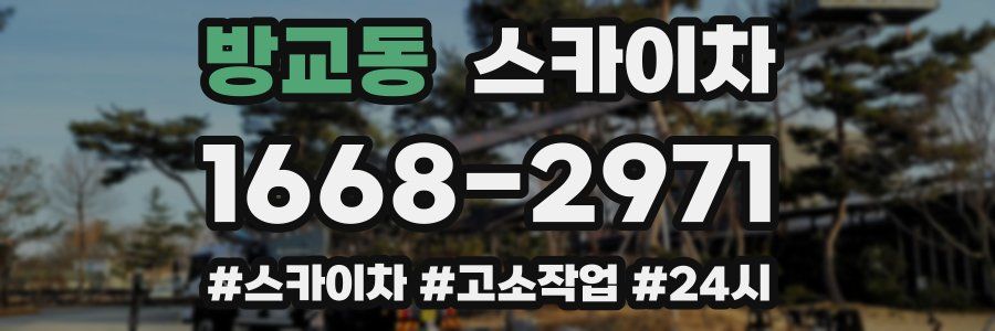 방교동 스카이차