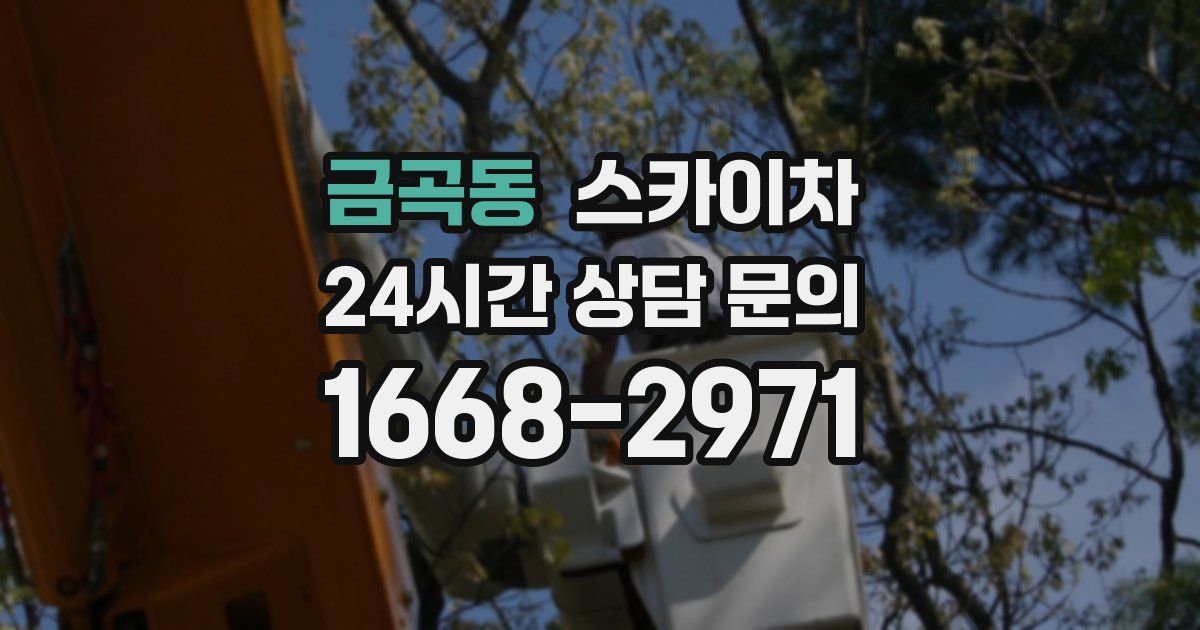 금곡동 스카이차