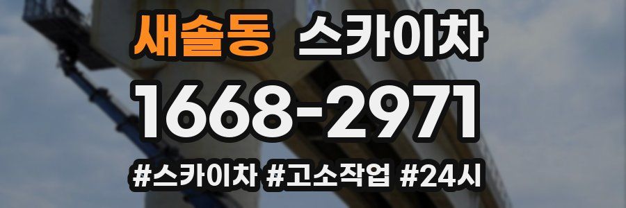 새솔동 스카이차
