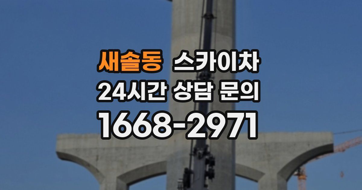 새솔동 스카이차