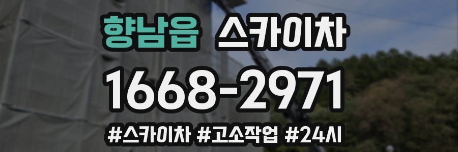 향남읍 스카이차