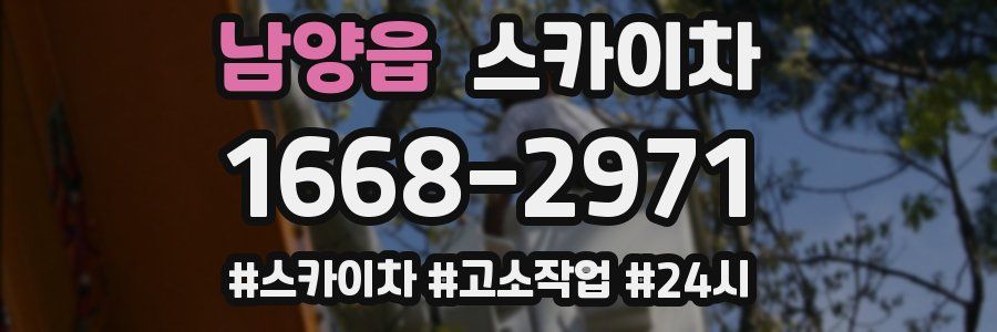 남양읍 스카이차