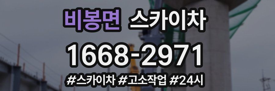 비봉면 스카이차