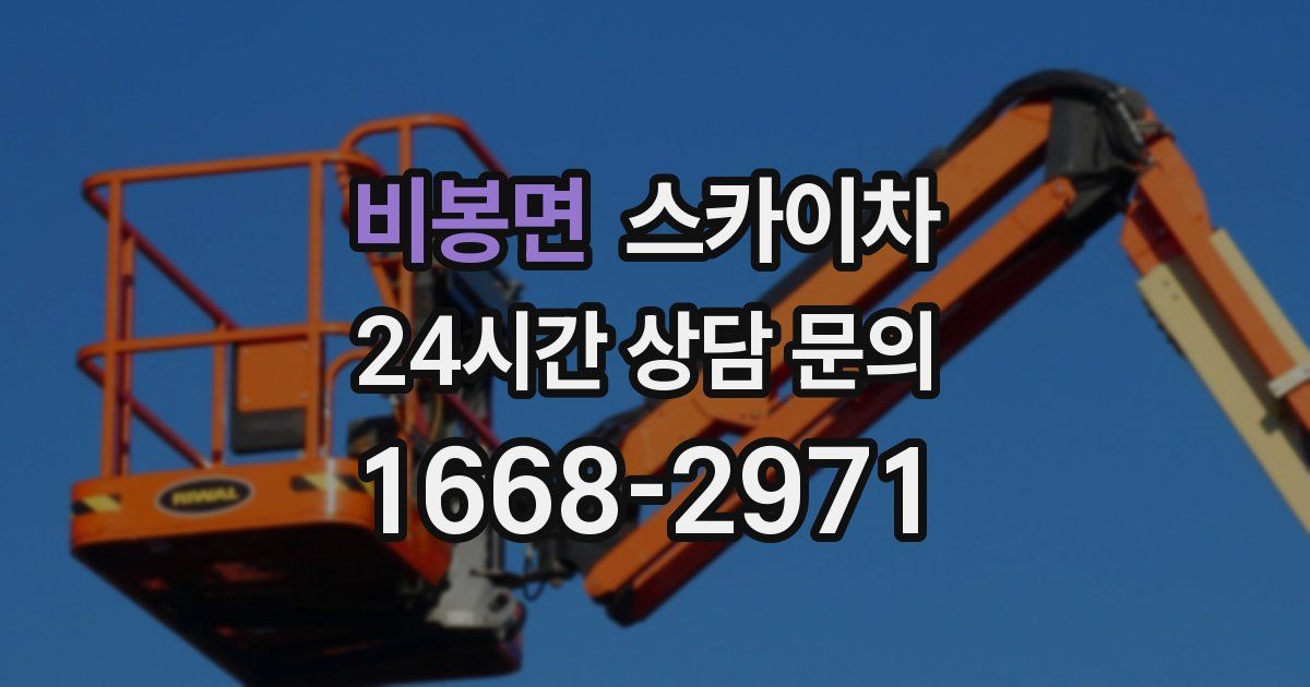 비봉면 스카이차