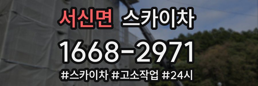 서신면 스카이차