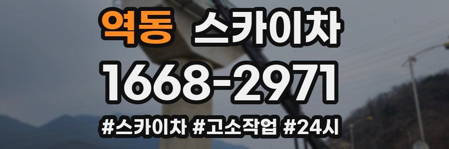 역동 스카이차