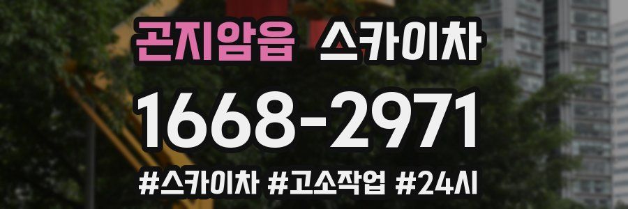 곤지암읍 스카이차