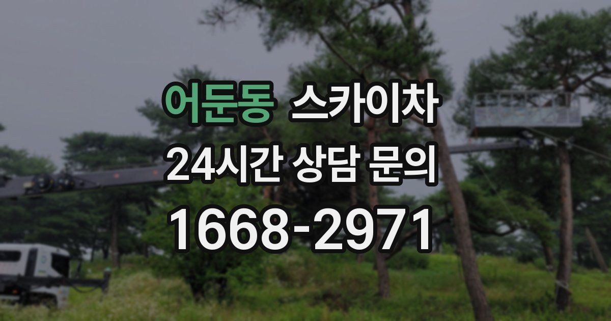 어둔동 스카이차