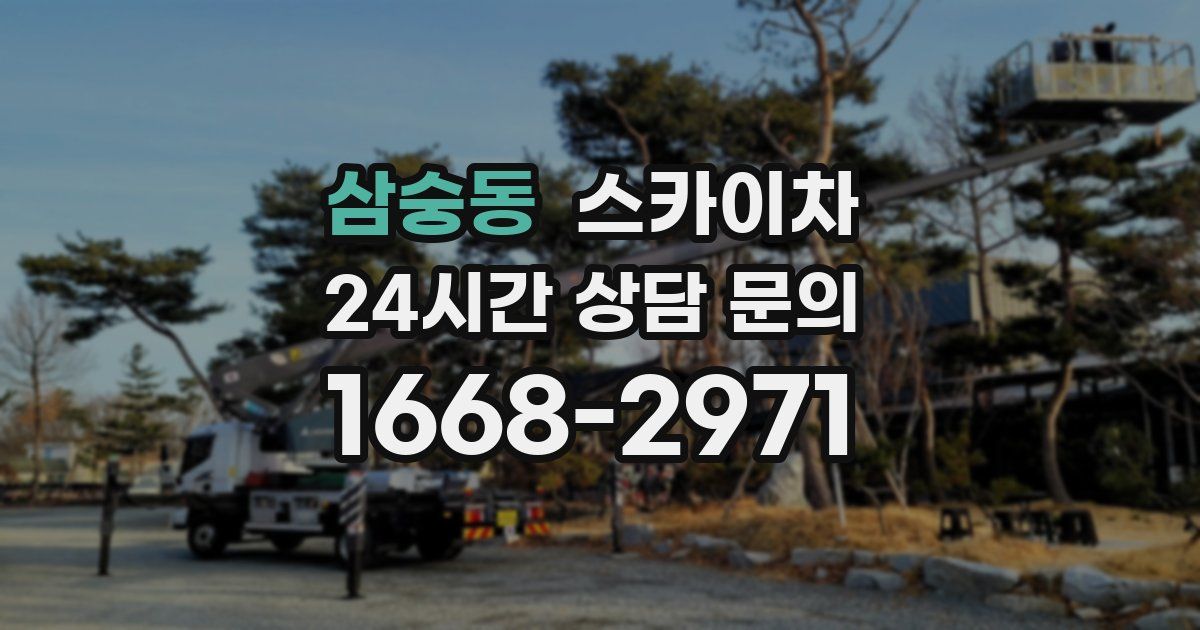 삼숭동 스카이차