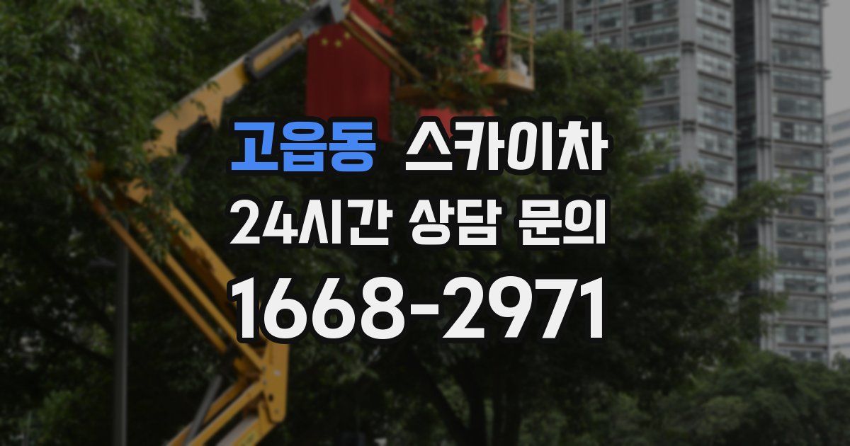 고읍동 스카이차