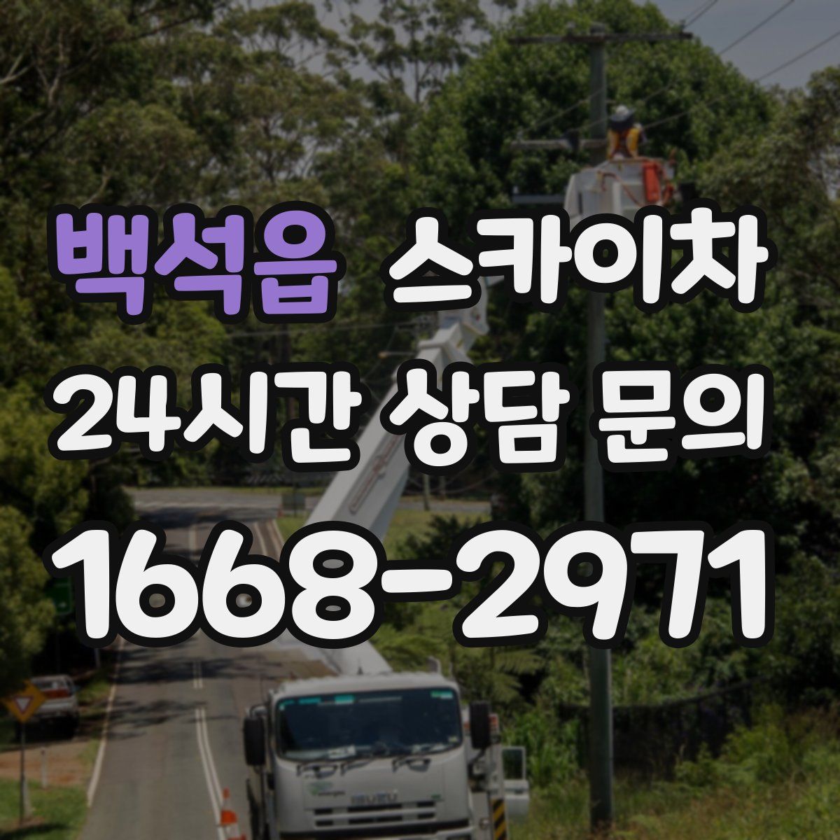 백석읍 스카이차