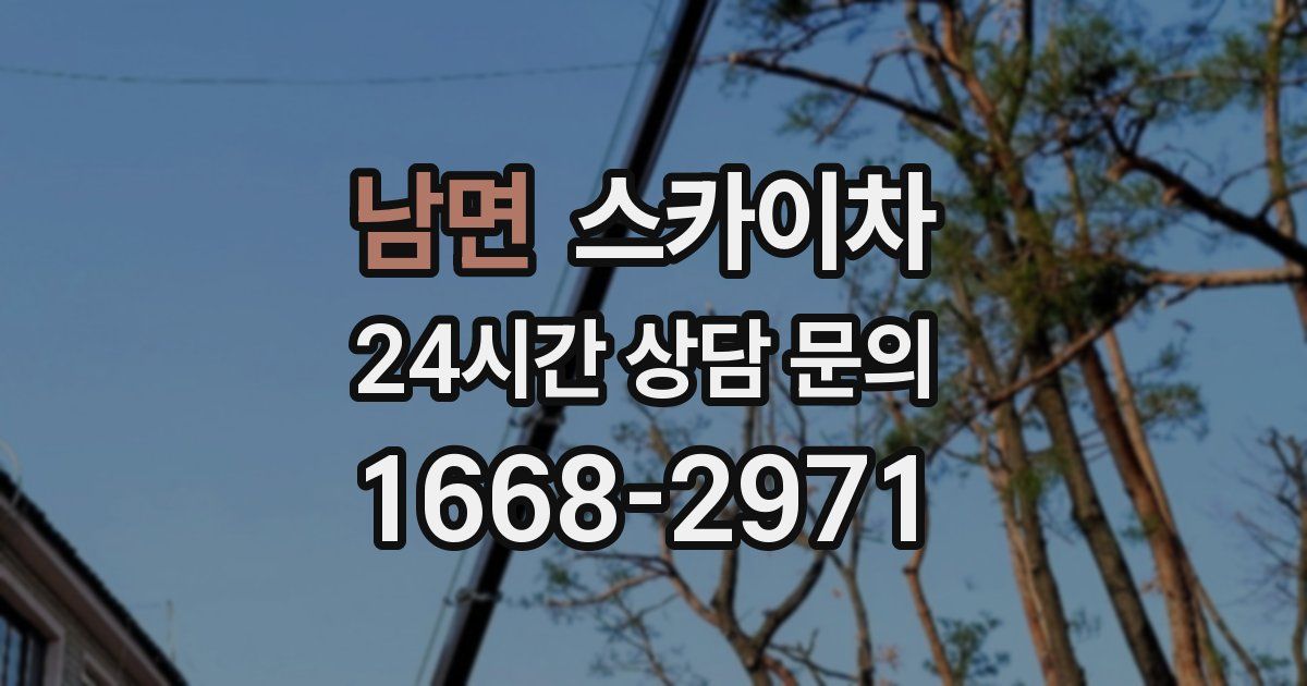 남면 스카이차
