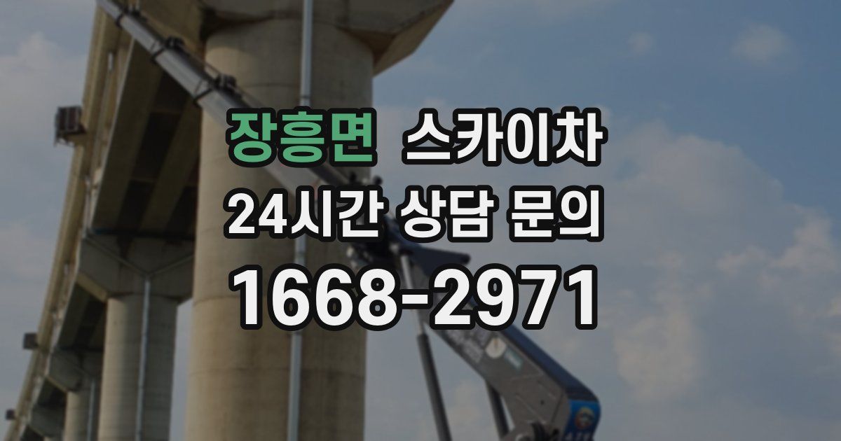 장흥면 스카이차