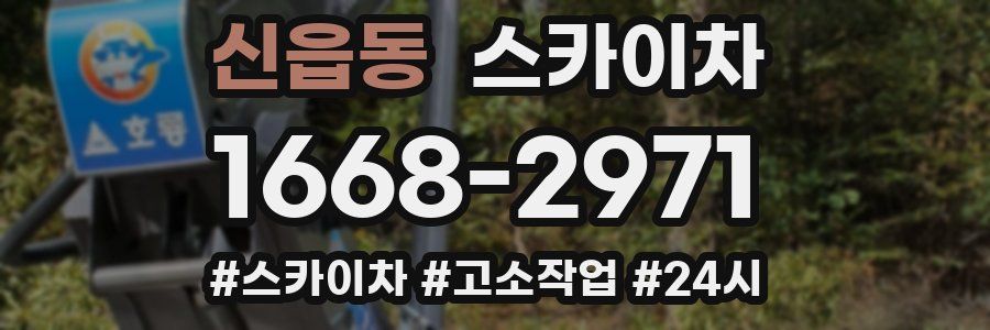 신읍동 스카이차