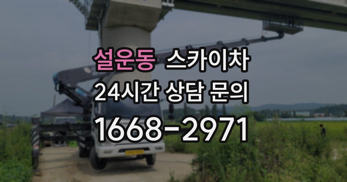 설운동 스카이차
