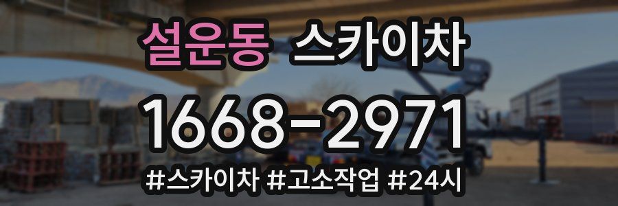 설운동 스카이차