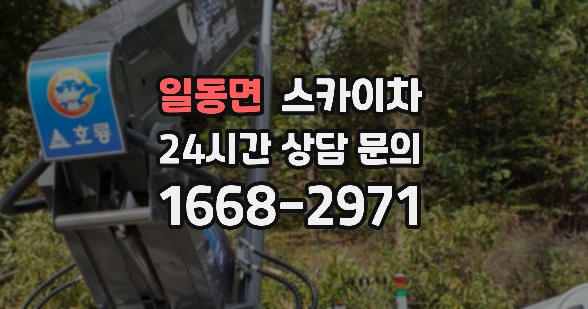 일동면 스카이차