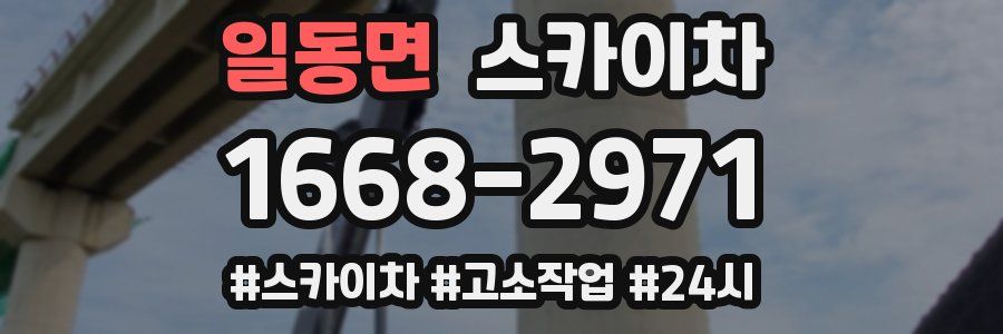 일동면 스카이차