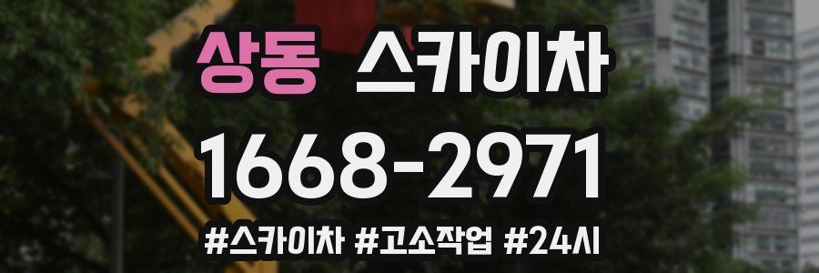 상동 스카이차