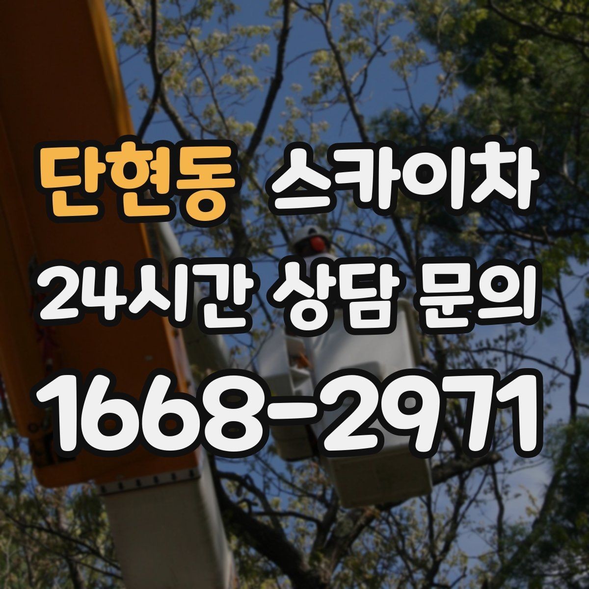 단현동 스카이차 사다리 대신 선택하는 이유를 정리