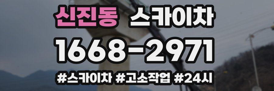 신진동 스카이차