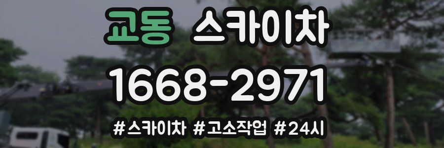 교동 스카이차