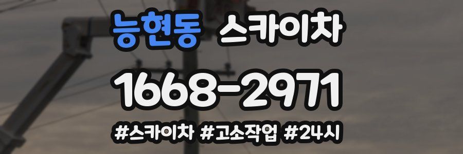 능현동 스카이차