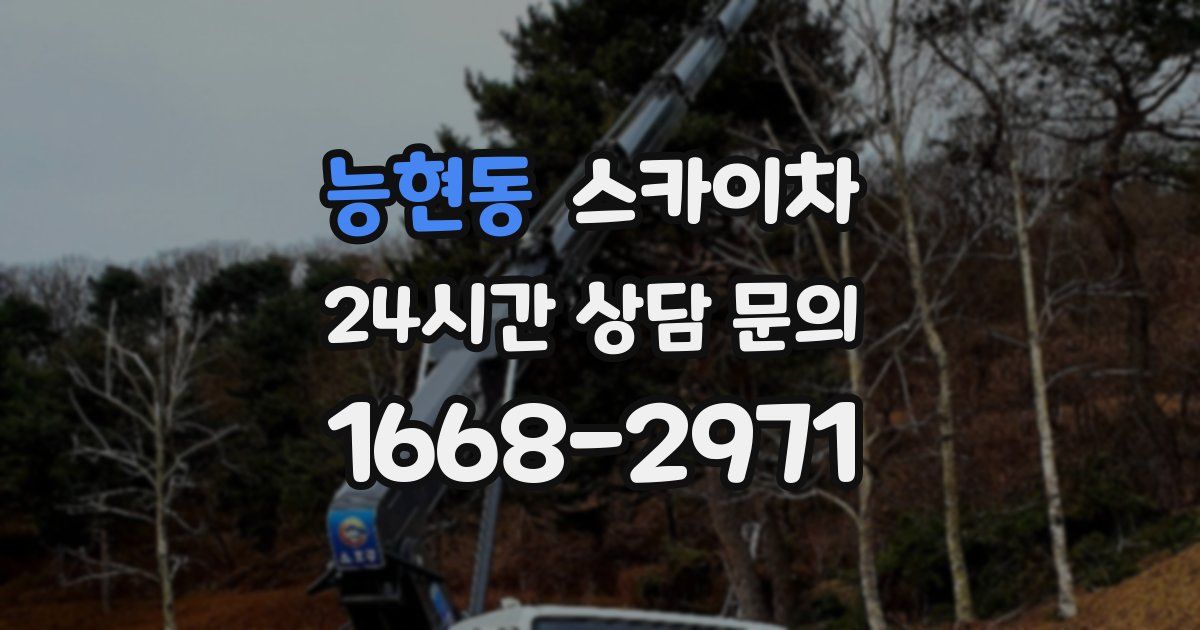 능현동 스카이차