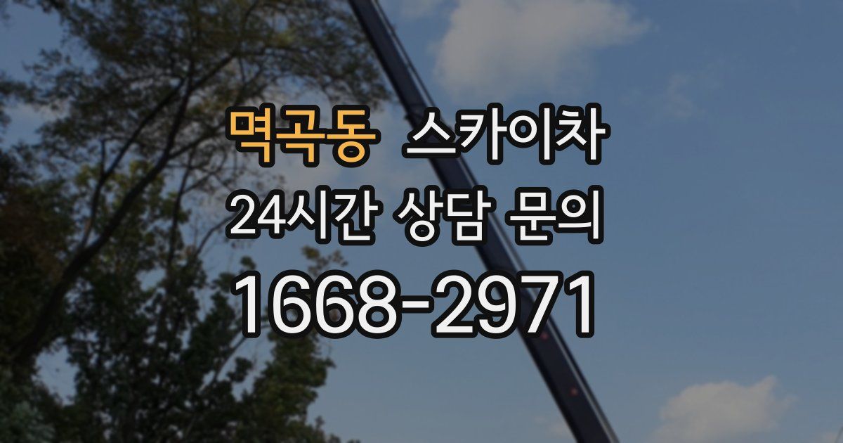 멱곡동 스카이차