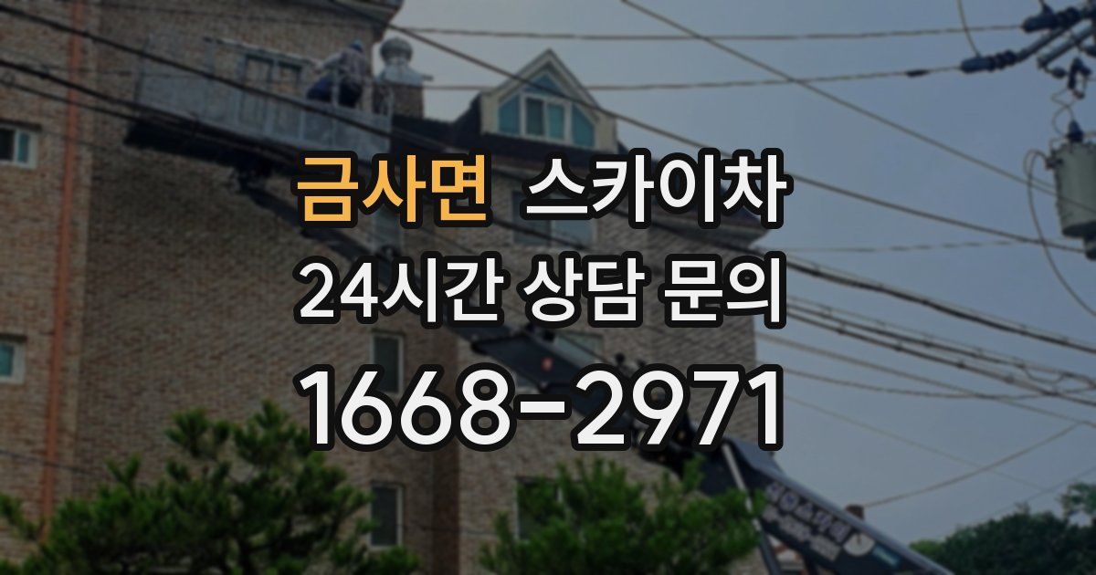 금사면 스카이차