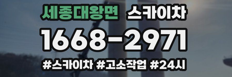 세종대왕면 스카이차