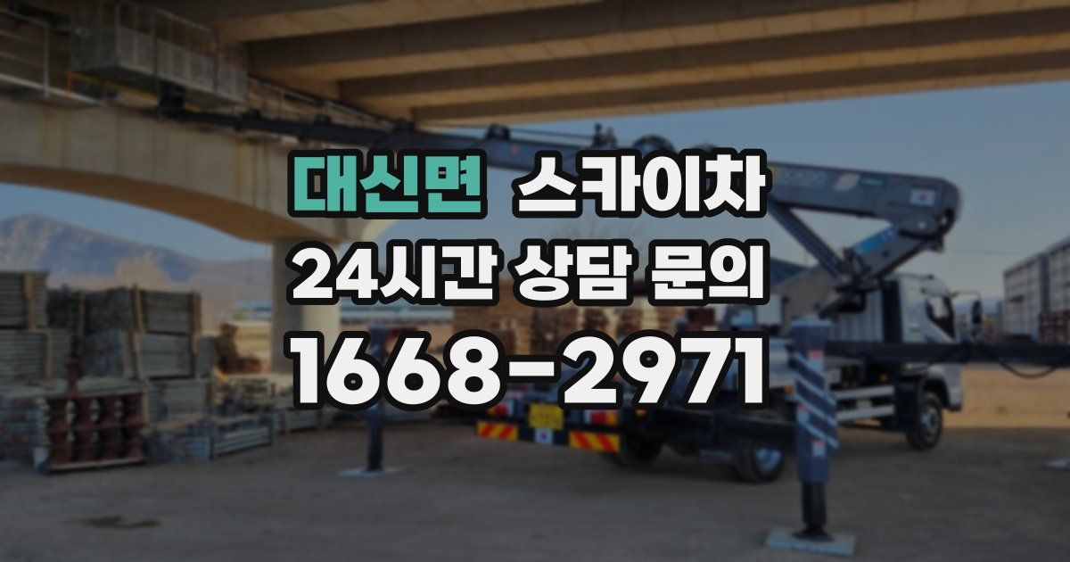 대신면 스카이차