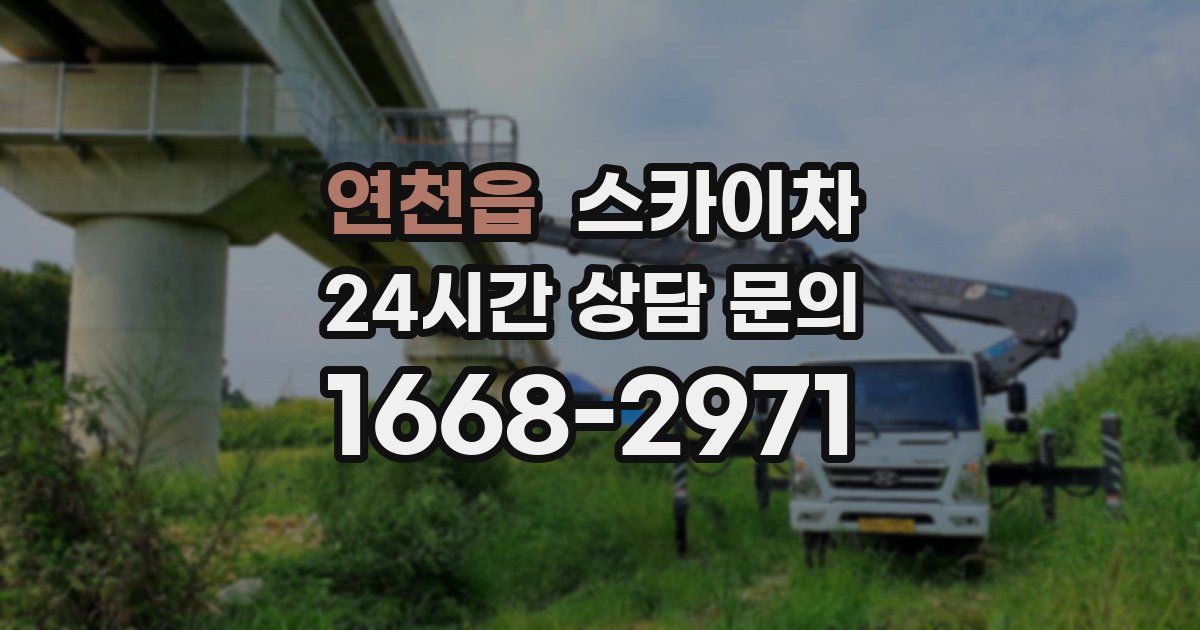 연천읍 스카이차