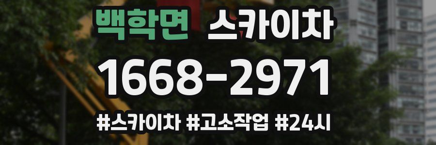 백학면 스카이차